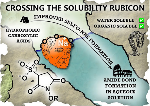 Graphic outlining crossing the solubility rubicon